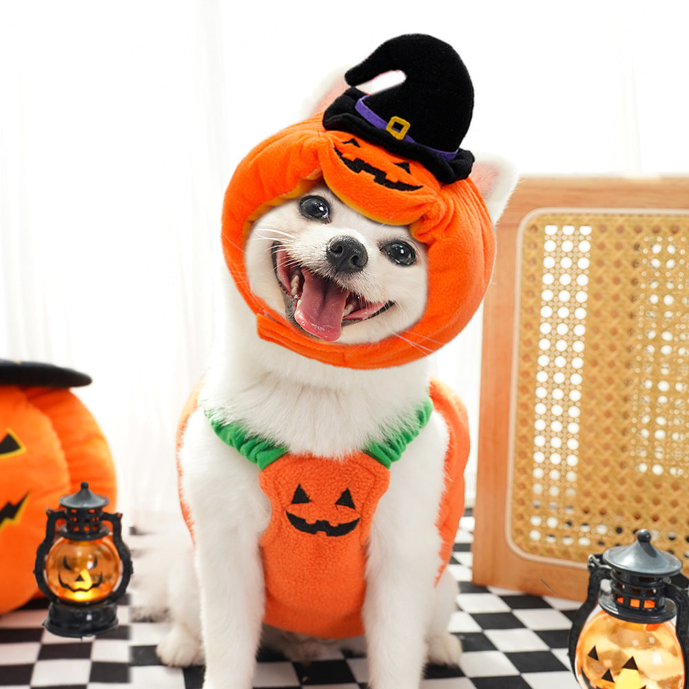 Funny Halloween Christmas Cat Pet Costume for Dogs, Two-Legged Style Poodle Disguise Outfit