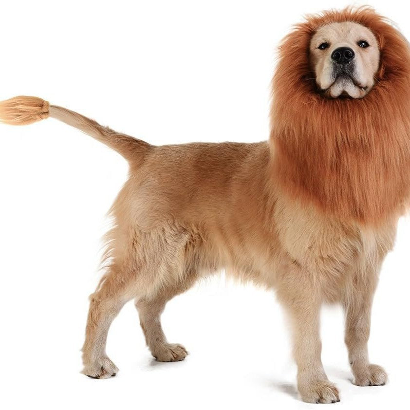 Fun Lion Head Mask with Ears for Pets - Animal Transformation Costume