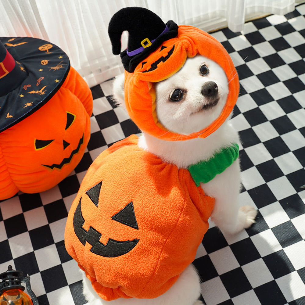 Funny Halloween Christmas Cat Pet Costume for Dogs, Two-Legged Style Poodle Disguise Outfit