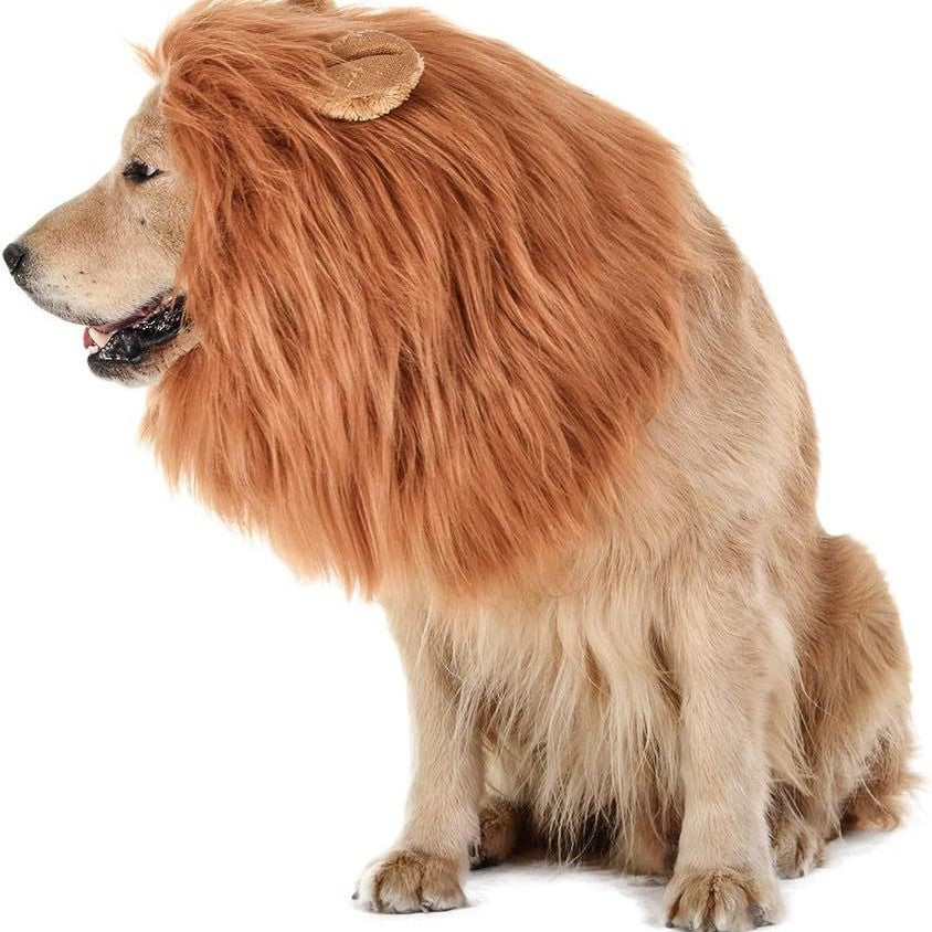Fun Lion Head Mask with Ears for Pets - Animal Transformation Costume