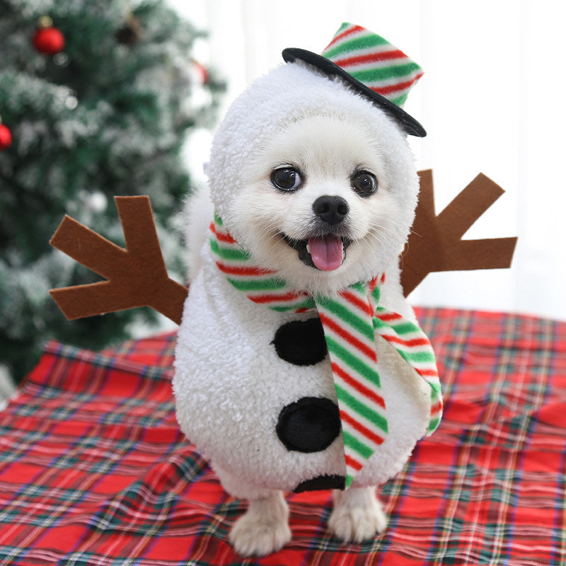 Pet Costume Outfit for Small Medium Dogs Cats Teddy Bichon Corgi Schnauzer Pomeranian