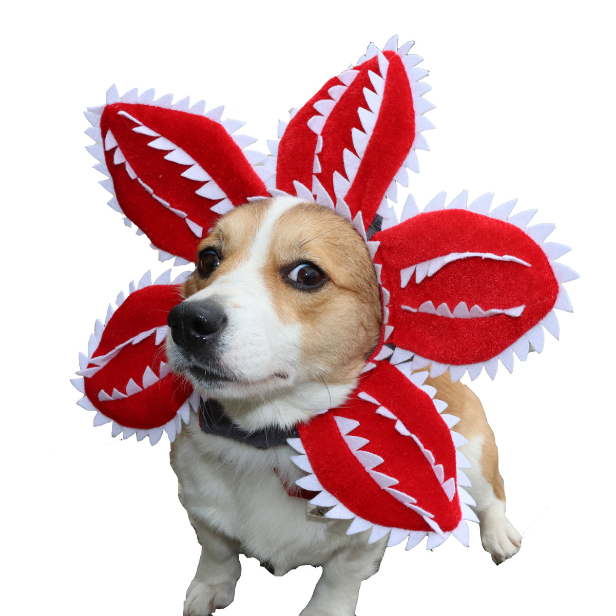 Pet Cat Dog Carnivorous Plant Headpiece Halloween Cosplay Costume Hat