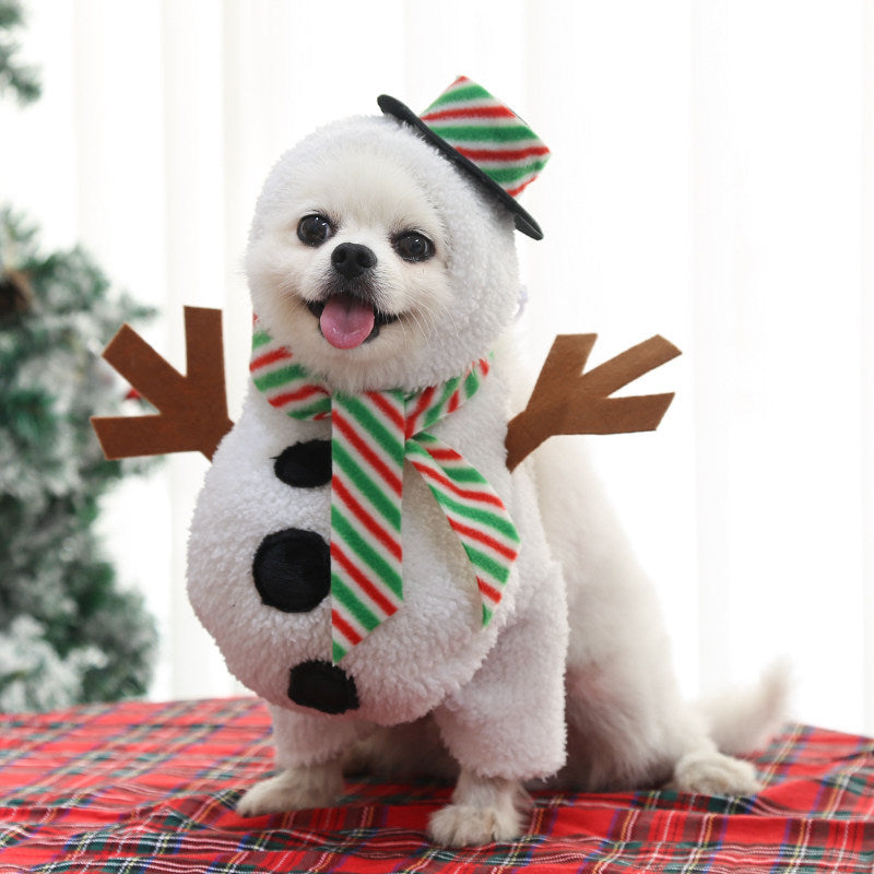 Pet Costume Outfit for Small Medium Dogs Cats Teddy Bichon Corgi Schnauzer Pomeranian